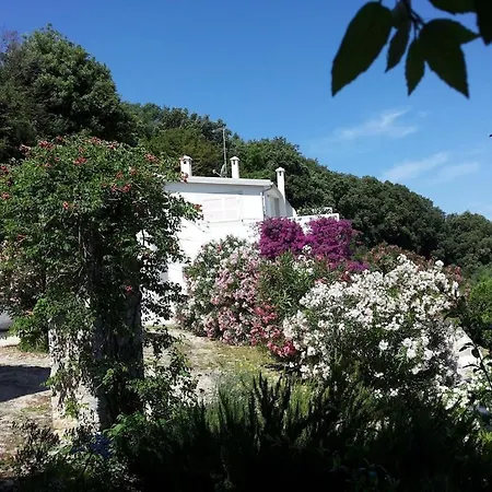 Giulia - In With Sea View Holiday home *